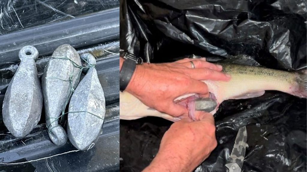 He Was Caught Cheating At Fishing, Then He Went On The Run…