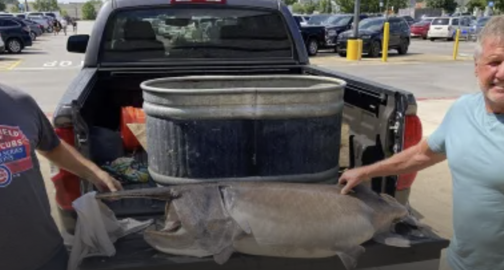 Record Breaking Paddlefish Caught – Down Fly Adventures