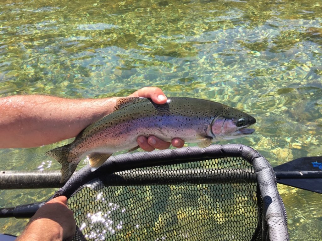 Tips On Fishing in Northern California Nevada County
